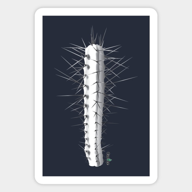 Trichocereus Bridgesii 2 Black & White Magnet by Cactee